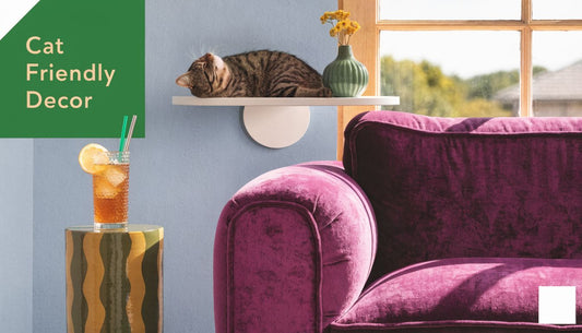 Cat Friendly Home Decor: A Stylish Guide 🐾 - FloofChonk
