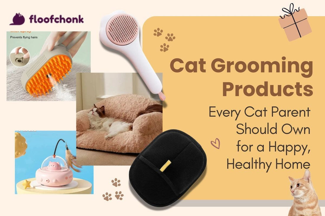 Cat Grooming Products Every Cat Parent Should Own for a Happy, Healthy Home - FloofChonk