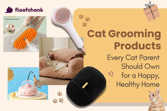 Cat Grooming Products Every Cat Parent Should Own for a Happy, Healthy Home - FloofChonk
