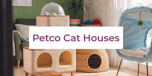 Cat Houses Petco: Find Your Feline's Dream Home - FloofChonk
