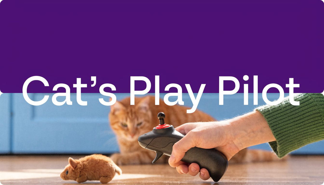 Cat Remote Control Mouse: Your Ultimate Play Guide 😼 - FloofChonk