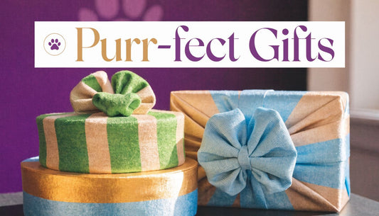 Cat Themed Gift Ideas: The Purr-fect Guide for 2026 - FloofChonk