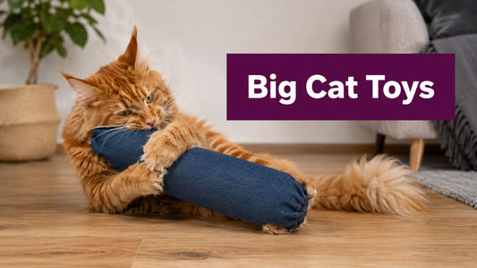 Cat Toys for Big Cats That Actually Hold Up