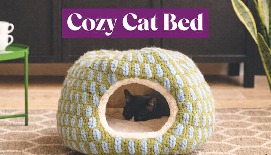 Comfortable Cat Bed: A Guide to Your Cat's Dream Nap 🐾 - FloofChonk