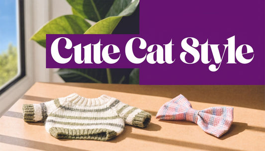 Cute Clothes for Cats: Your Ultimate Guide - FloofChonk