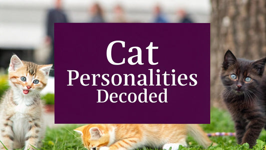 Decoding Feline Friends: 10 Types of Cats and Personalities for 2026 - FloofChonk