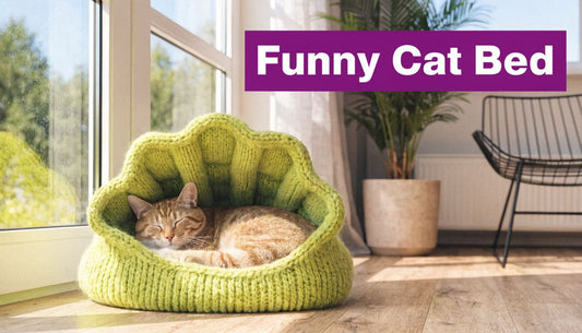 Find the Perfect Funny Cat Bed for Your Feline - FloofChonk