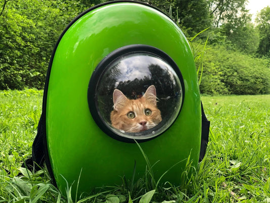 How to Choose the Right Cat Travel Carrier (2025 Guide) - FloofChonk