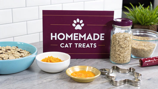 How to Make Homemade Cat Treats Your Cat Will Actually Eat 🐾 - FloofChonk