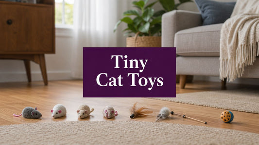 Miniature Cat Toys: A Playful Buyer's Guide for 2026 - FloofChonk