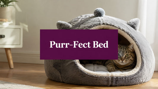 Novelty Cat Bed Guide: Pick the Purr-Fect One - FloofChonk