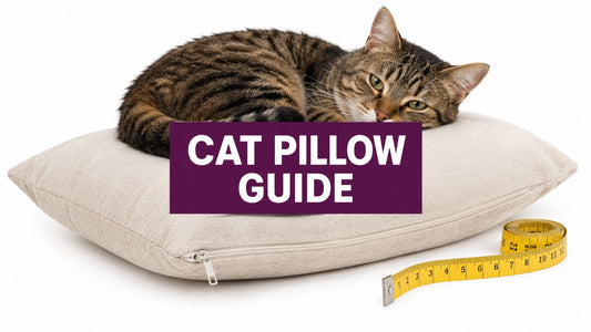 Pillows for Cats: Sizes, Safety and Cleaning Guide 2026 - FloofChonk