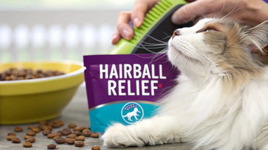 Purr-fect Cat Hairball Remedies That Actually Work 🐾 - FloofChonk