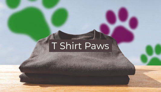 T Shirt Paws: The Ultimate Cat Lover's Style Guide - FloofChonk