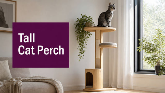 Elevate Your Cat's World: Find a Tall Cat Perch