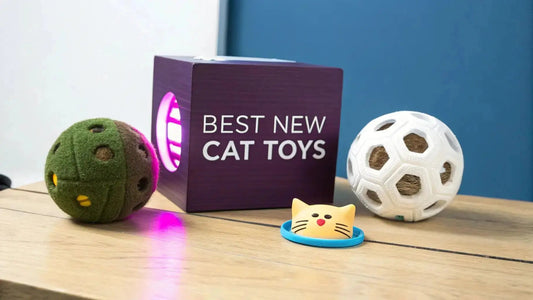 The Ultimate Guide to the Best New Toys for Cats 😻 - FloofChonk