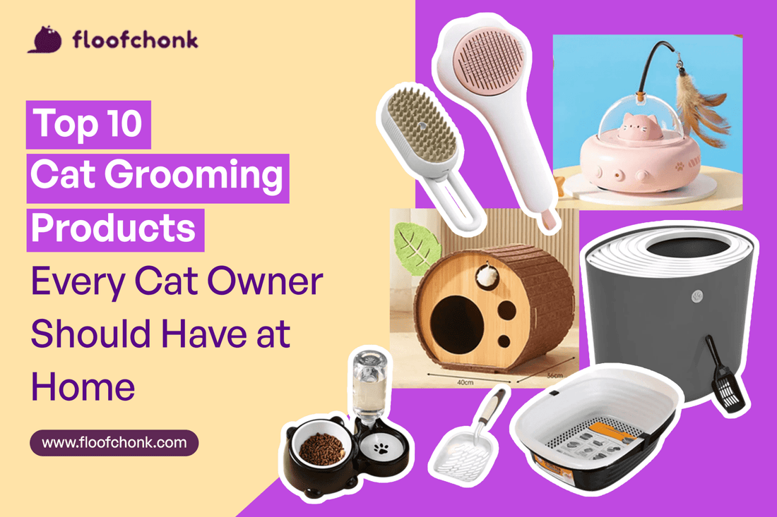 Top 10 Cat Grooming Products Every Cat Owner Should Have at Home - FloofChonk