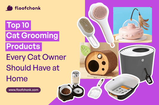 Top 10 Cat Grooming Products Every Cat Owner Should Have at Home - FloofChonk