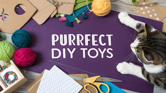 Top 10 Purrfect DIY Cat Toy Ideas Your Feline Will Adore 😻 - FloofChonk