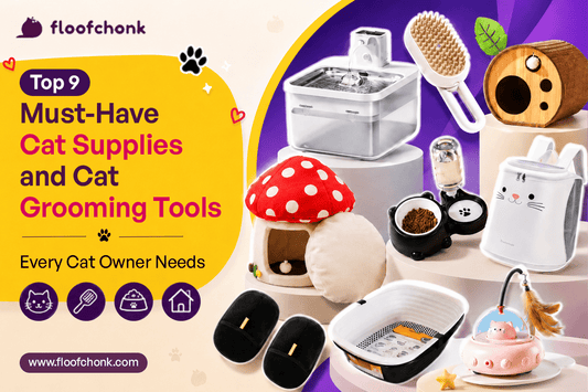 Top 9 Must-Have Cat Supplies and Cat Grooming Tools Every Cat Owner Needs - FloofChonk