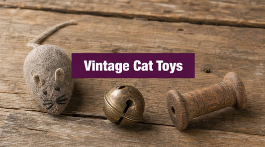 Vintage Cat Toys: Find, Identify, & Use Safely - FloofChonk