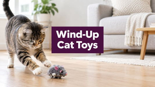 Wind Up Cat Toys: A Complete Guide for Happy Kitties - FloofChonk