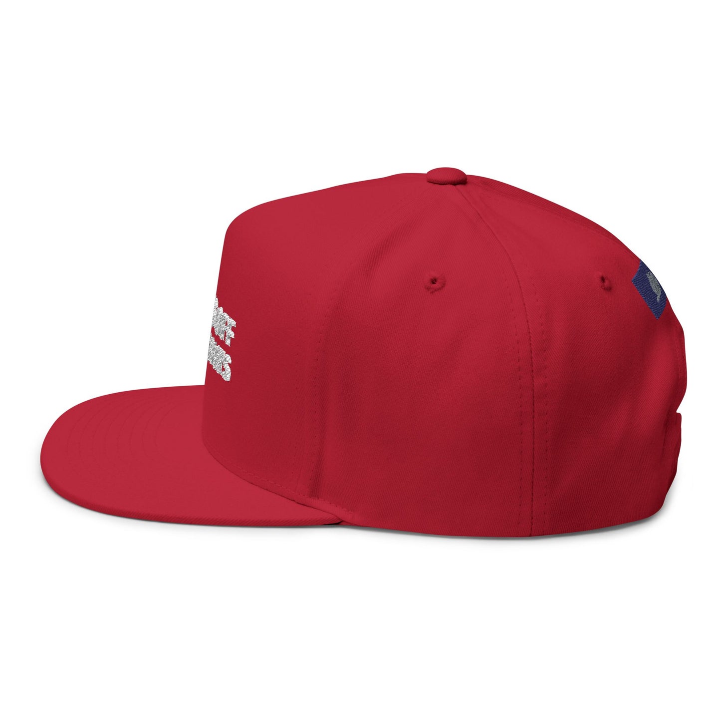 Paws Off My Rights Flat Bill Cap — Embroidered Cat Paw Freedom Hat