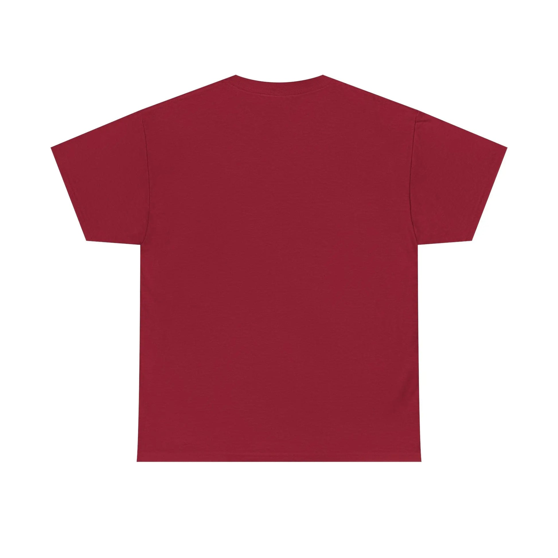 Dinosaur Cat Tee Printify