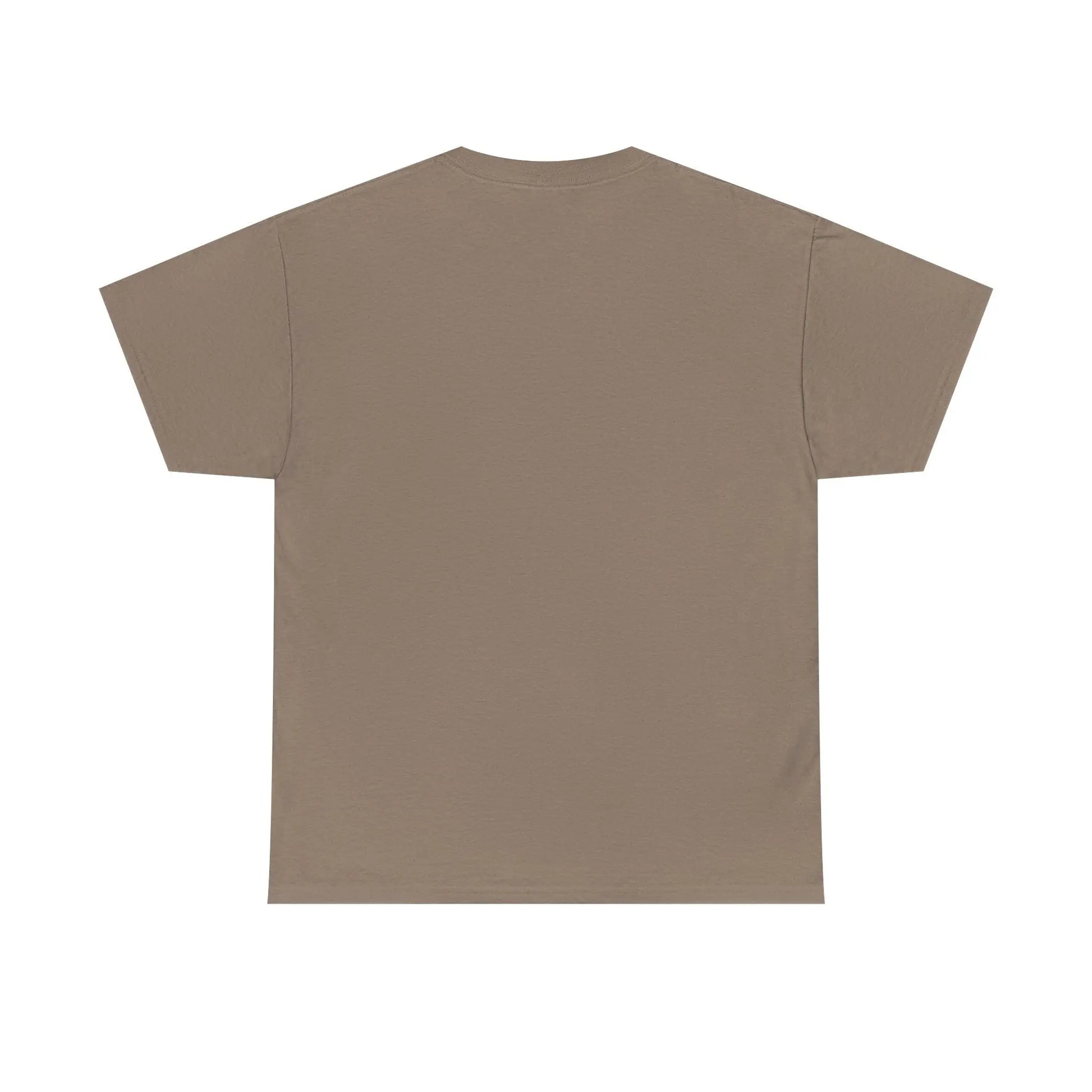 Dinosaur Cat Tee Printify
