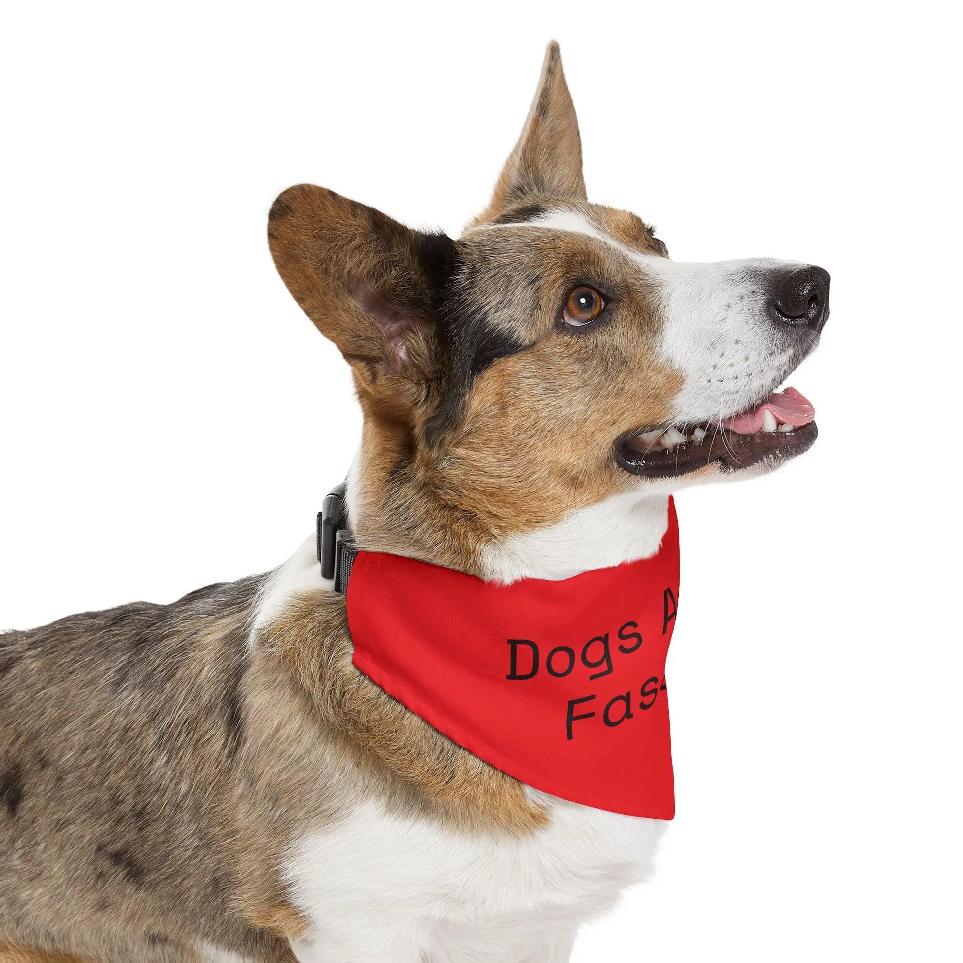 Dogs Against Fascists Pet Bandana Collar Printify