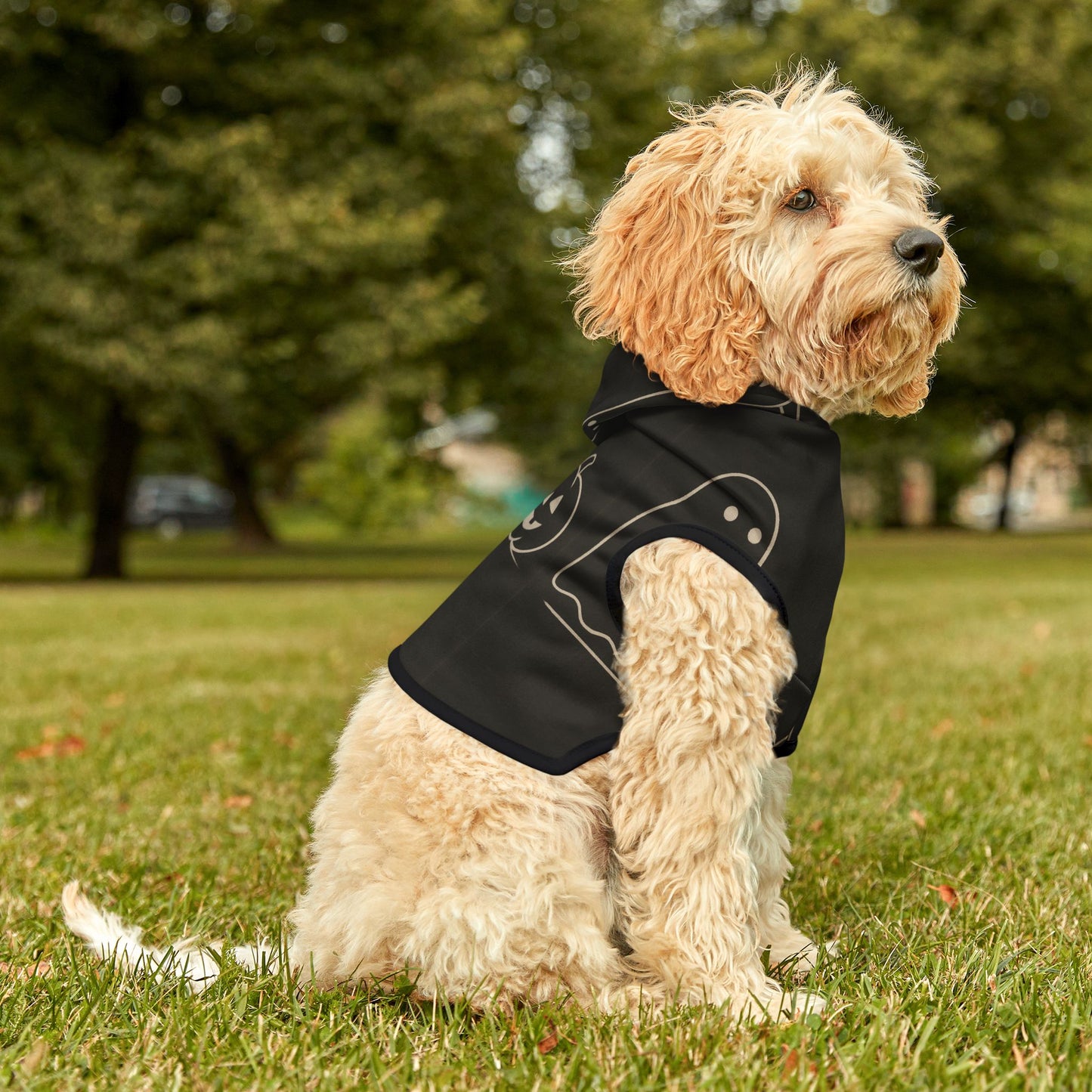 Halloween Pet Hoodie - FloofChonk