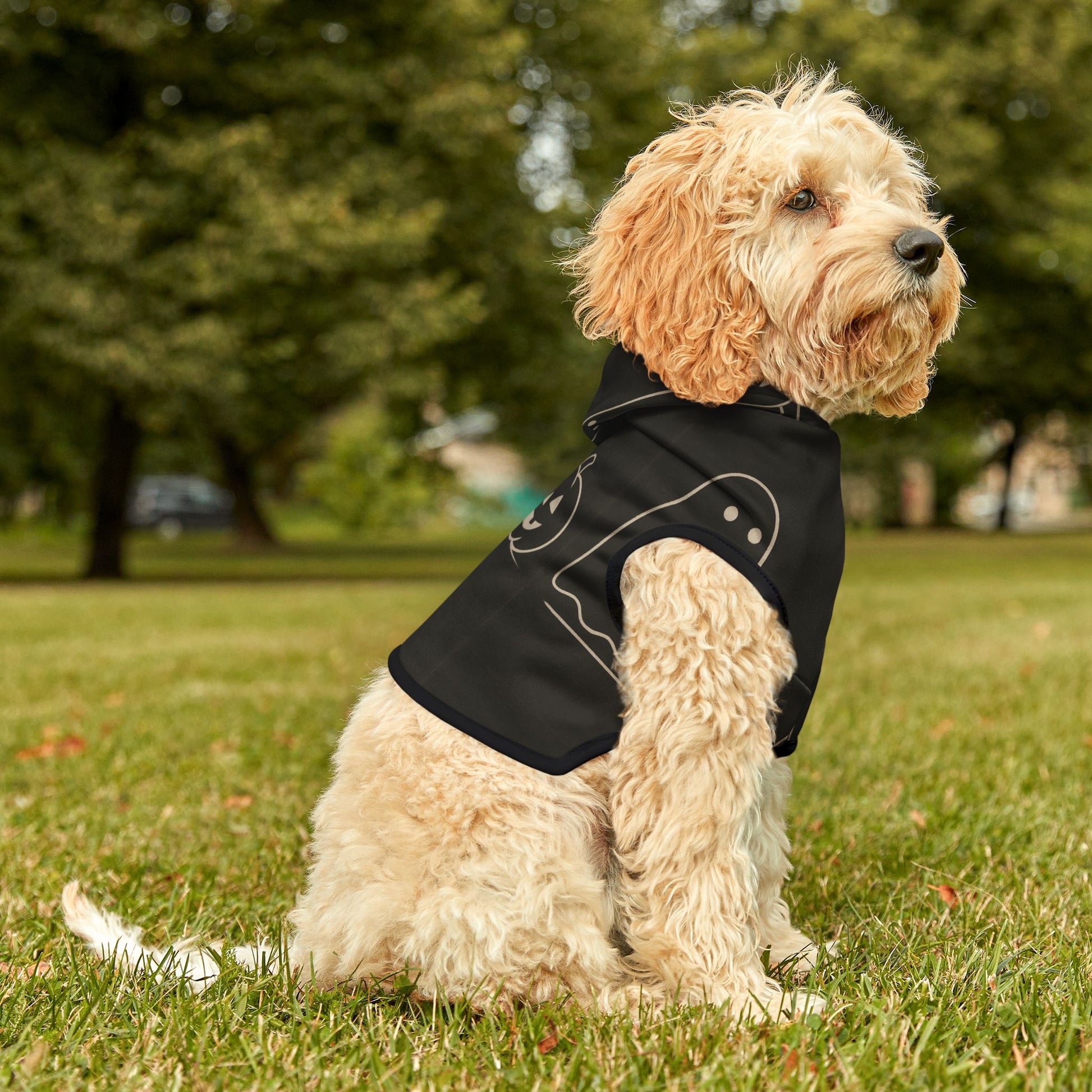 Halloween Pet Hoodie - FloofChonk