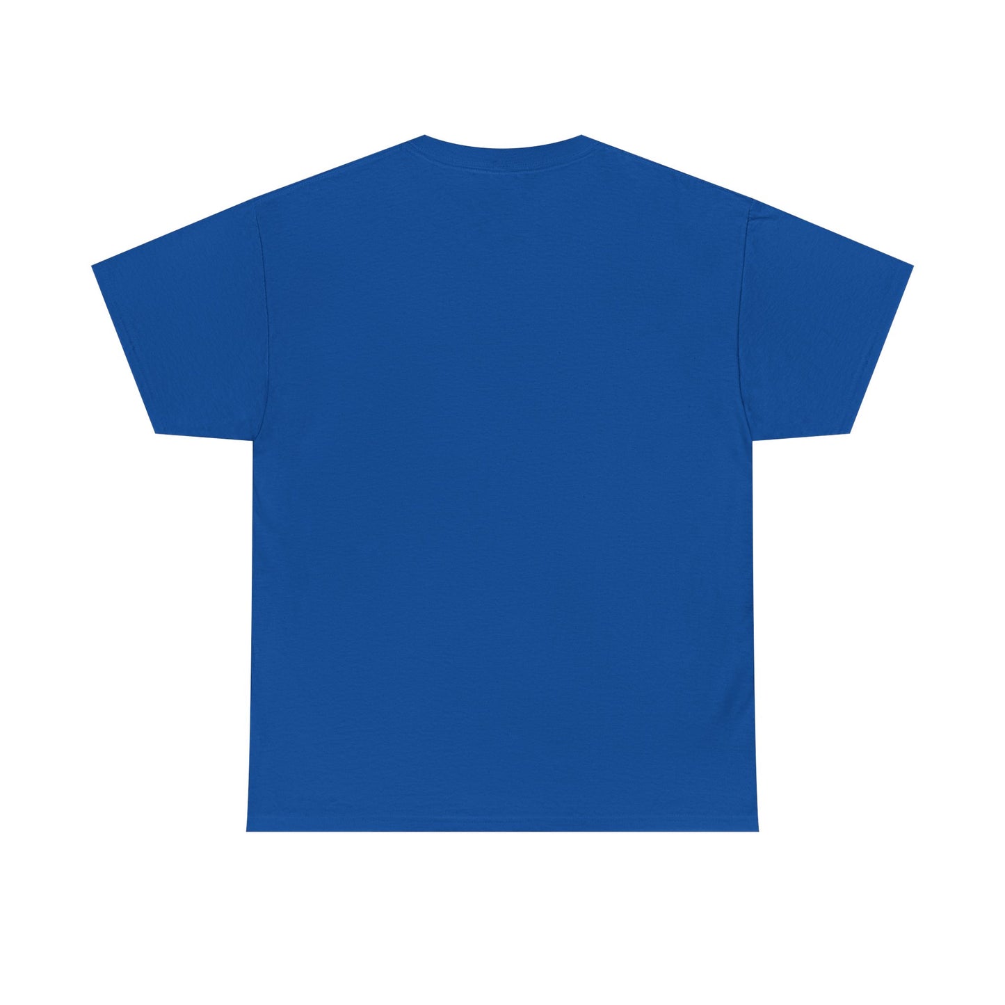 Cat T‑Shirt — "I've Discussed It With The Cat, It's A No." Retro Sunset