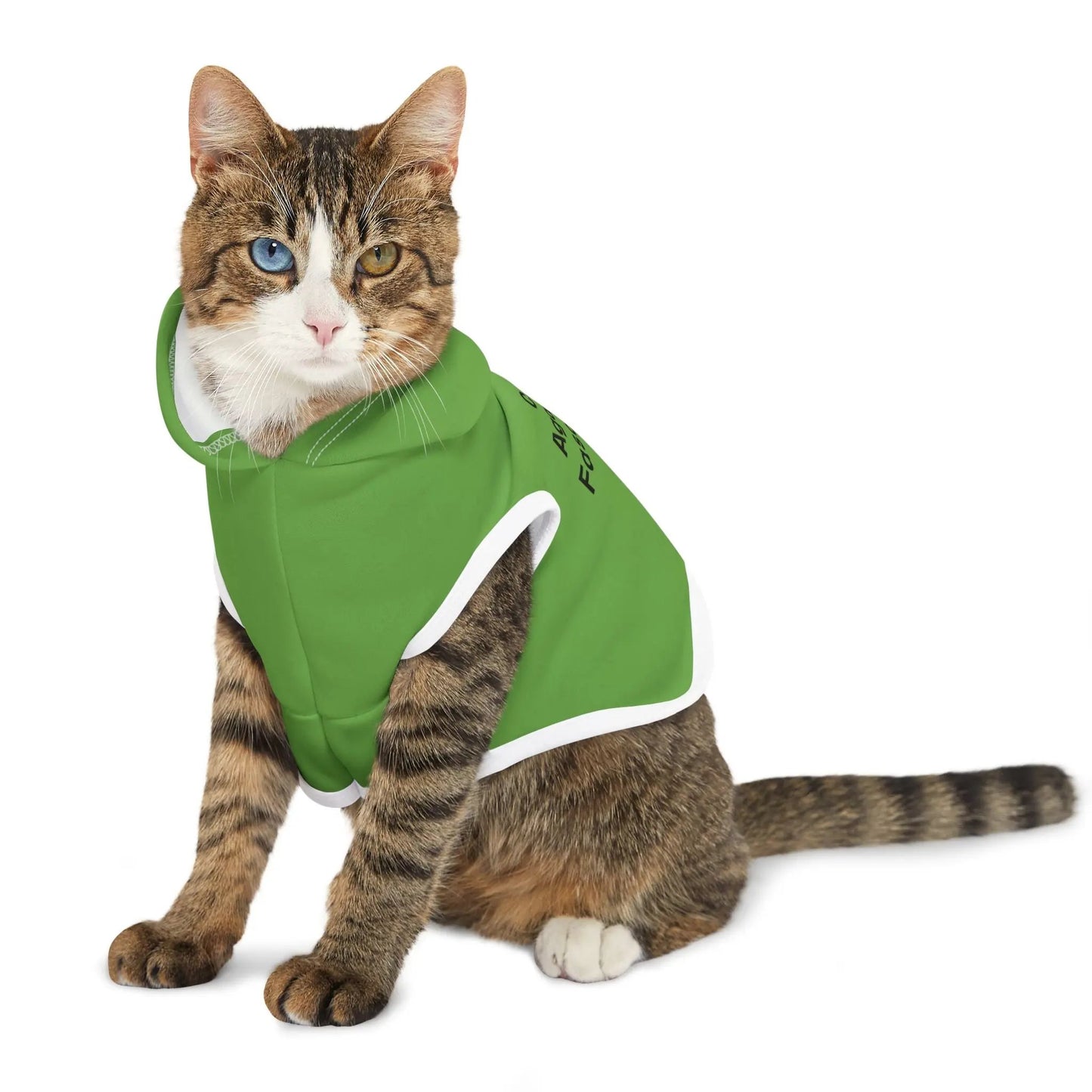 Cats Against Fascists Pet Hoodie