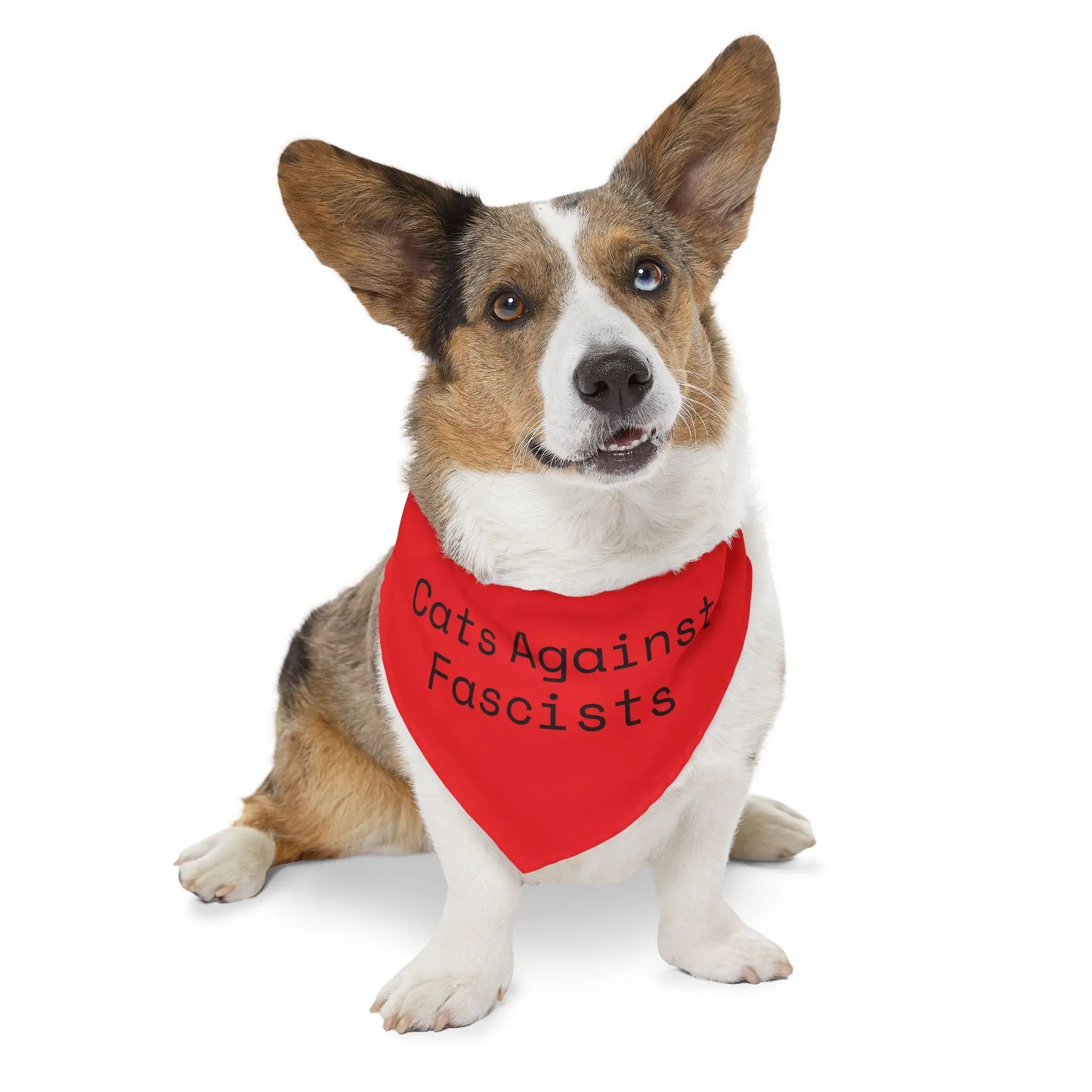 "Cats Against Fascists" Pet Bandana Collar for Dogs & Cats | Rebellious Style Accessory Printify