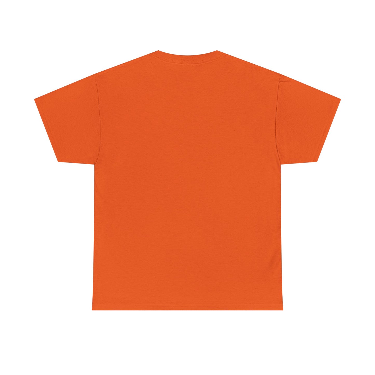 Cat T‑Shirt — "I've Discussed It With The Cat, It's A No." Retro Sunset