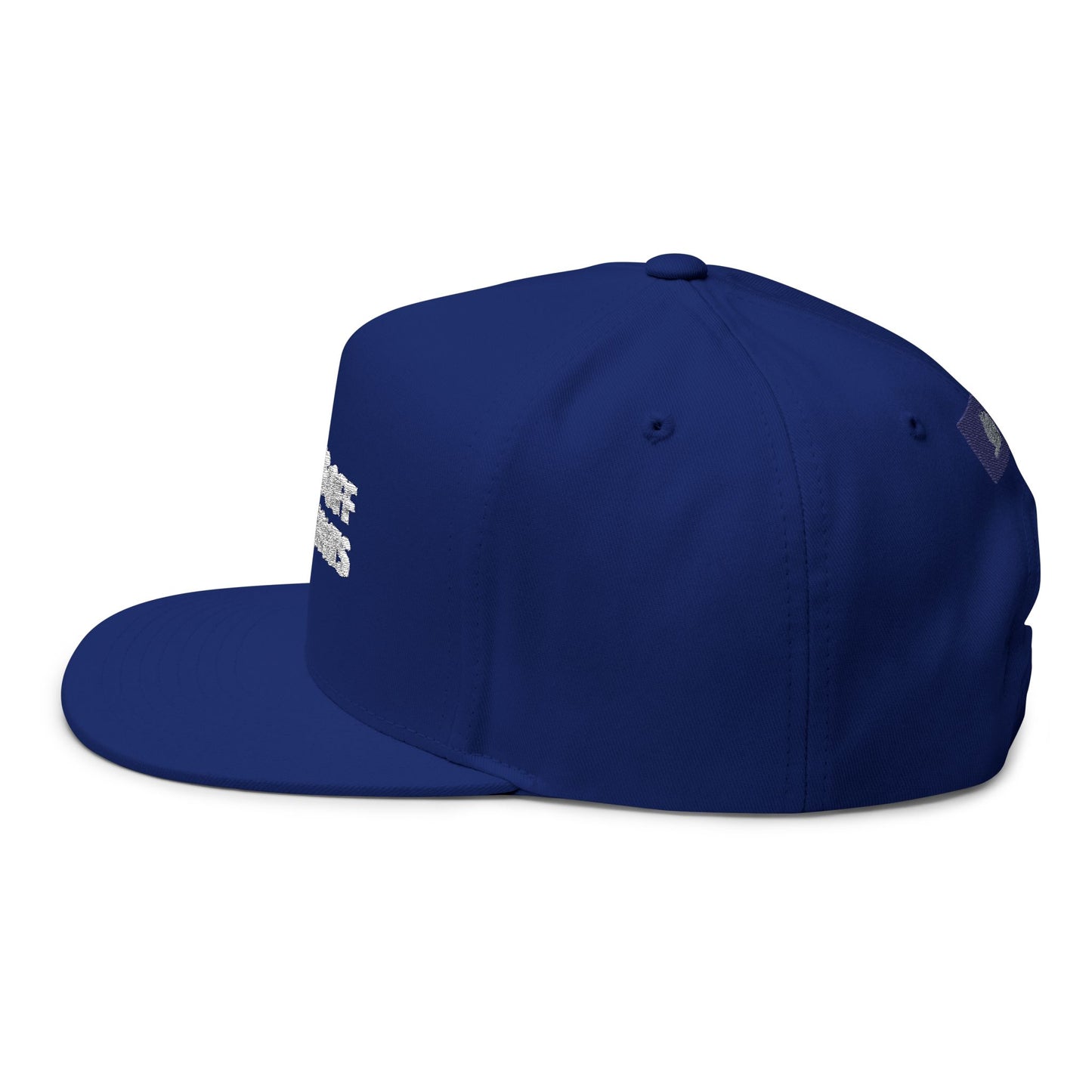 Paws Off My Rights Flat Bill Cap — Embroidered Cat Paw Freedom Hat
