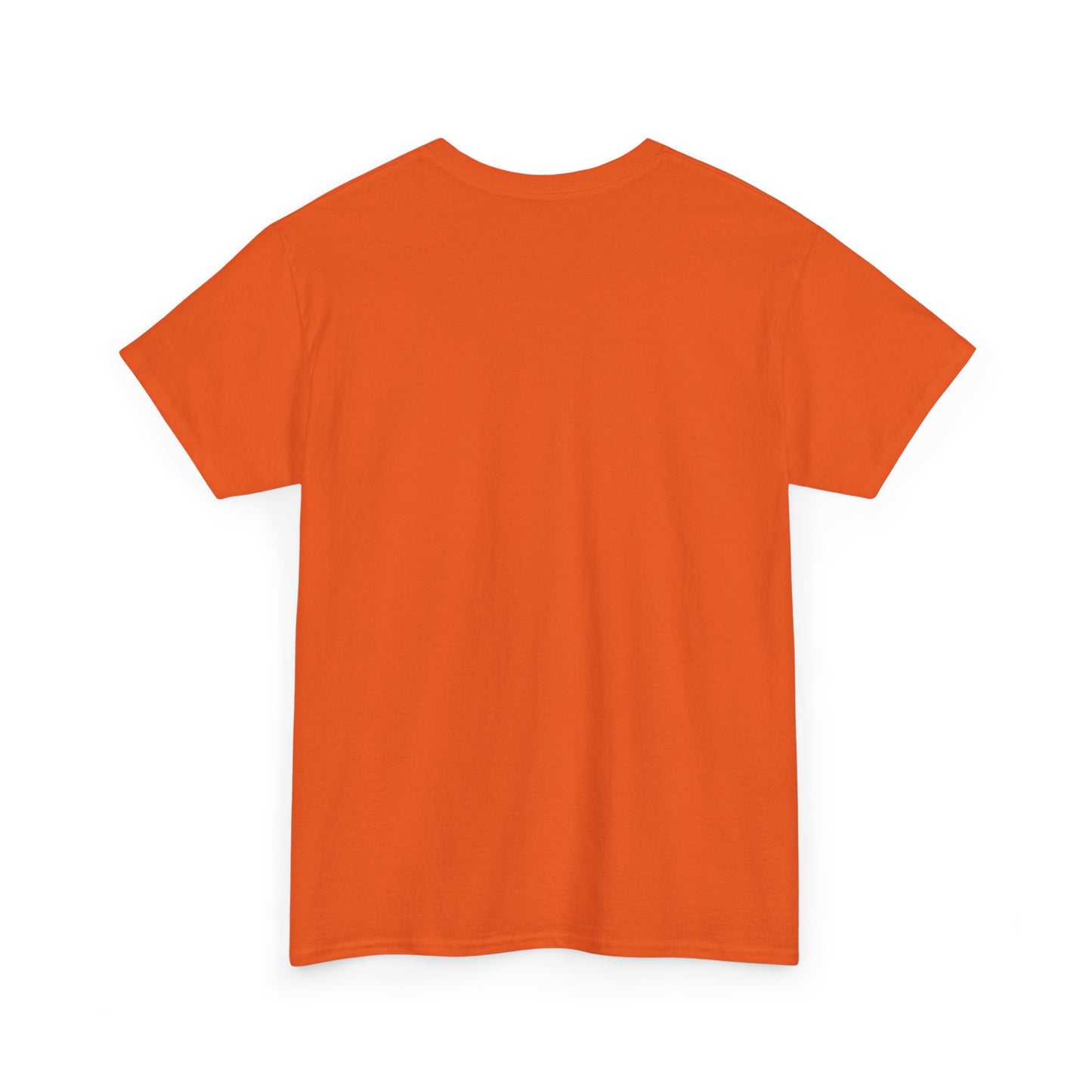 Cat T‑Shirt — "I've Discussed It With The Cat, It's A No." Retro Sunset