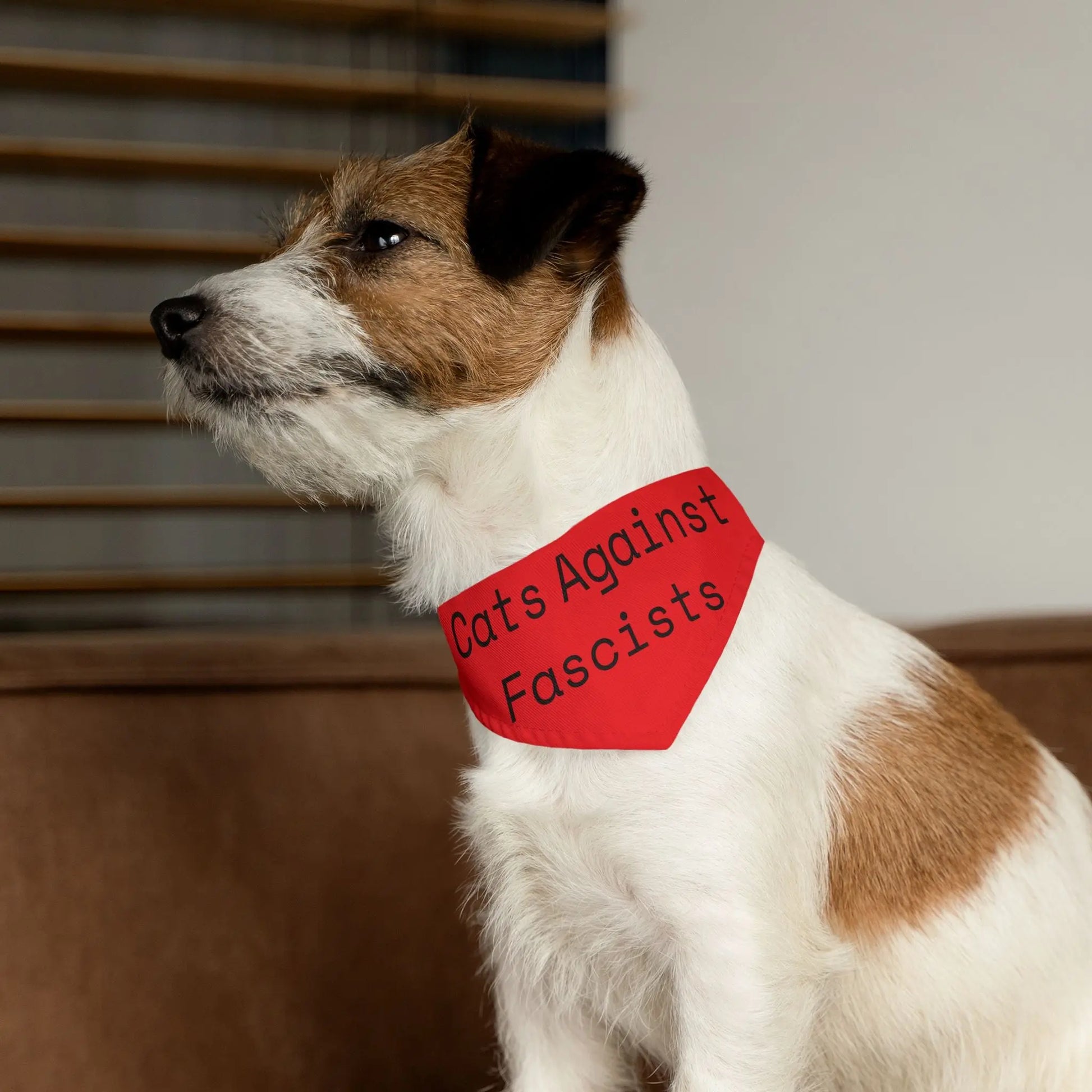 "Cats Against Fascists" Pet Bandana Collar for Dogs & Cats | Rebellious Style Accessory Printify