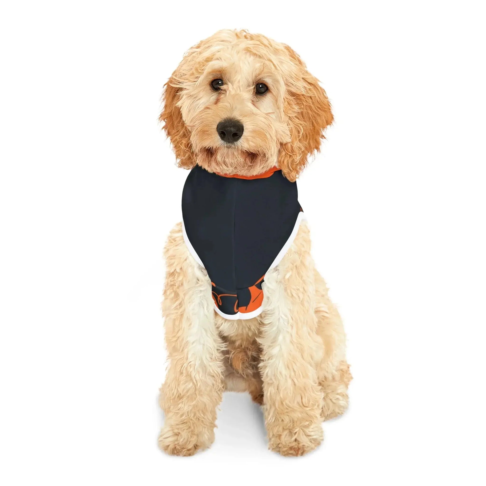 Halloween Pumpkin Pet Hoodie - FloofChonk