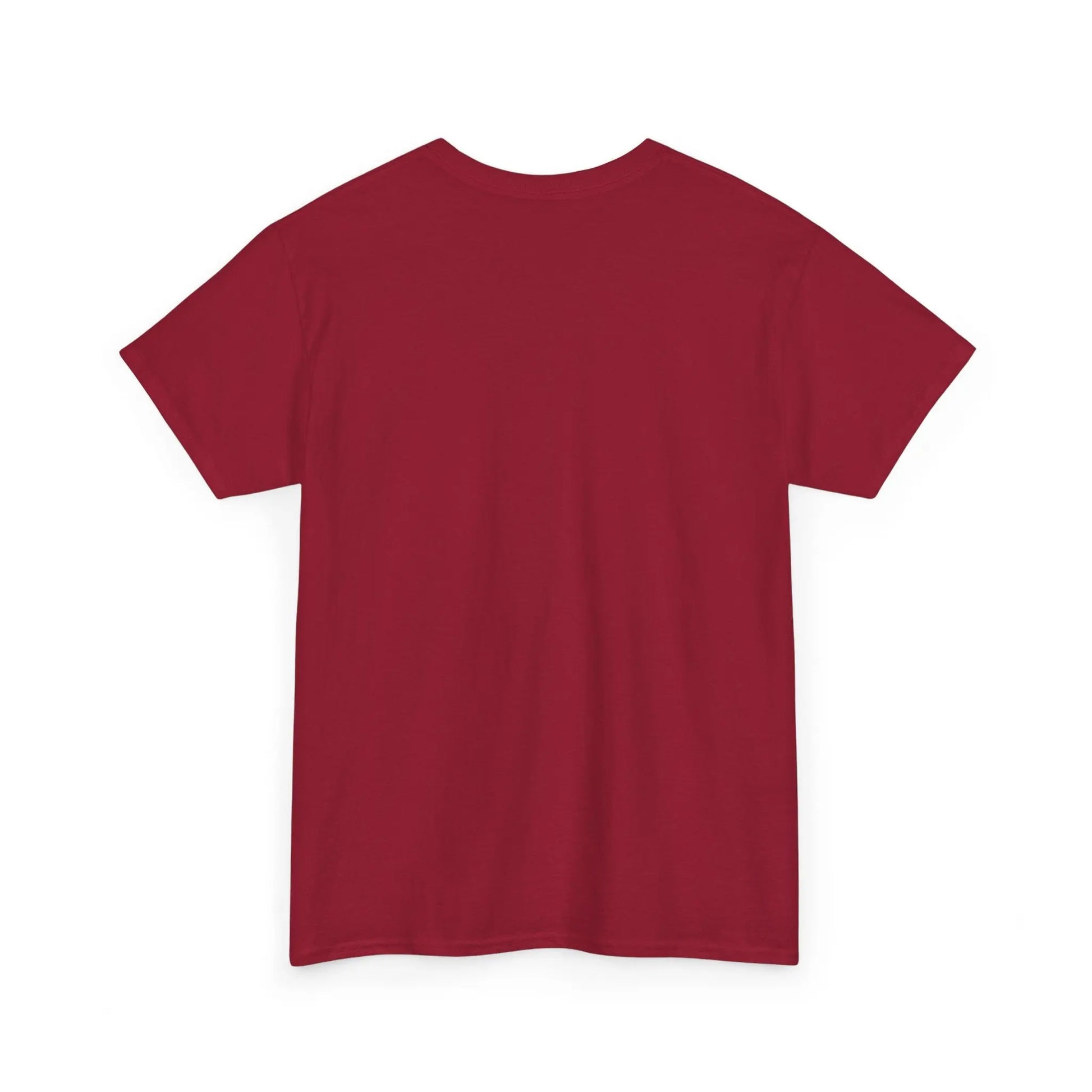 Dinosaur Cat Tee Printify