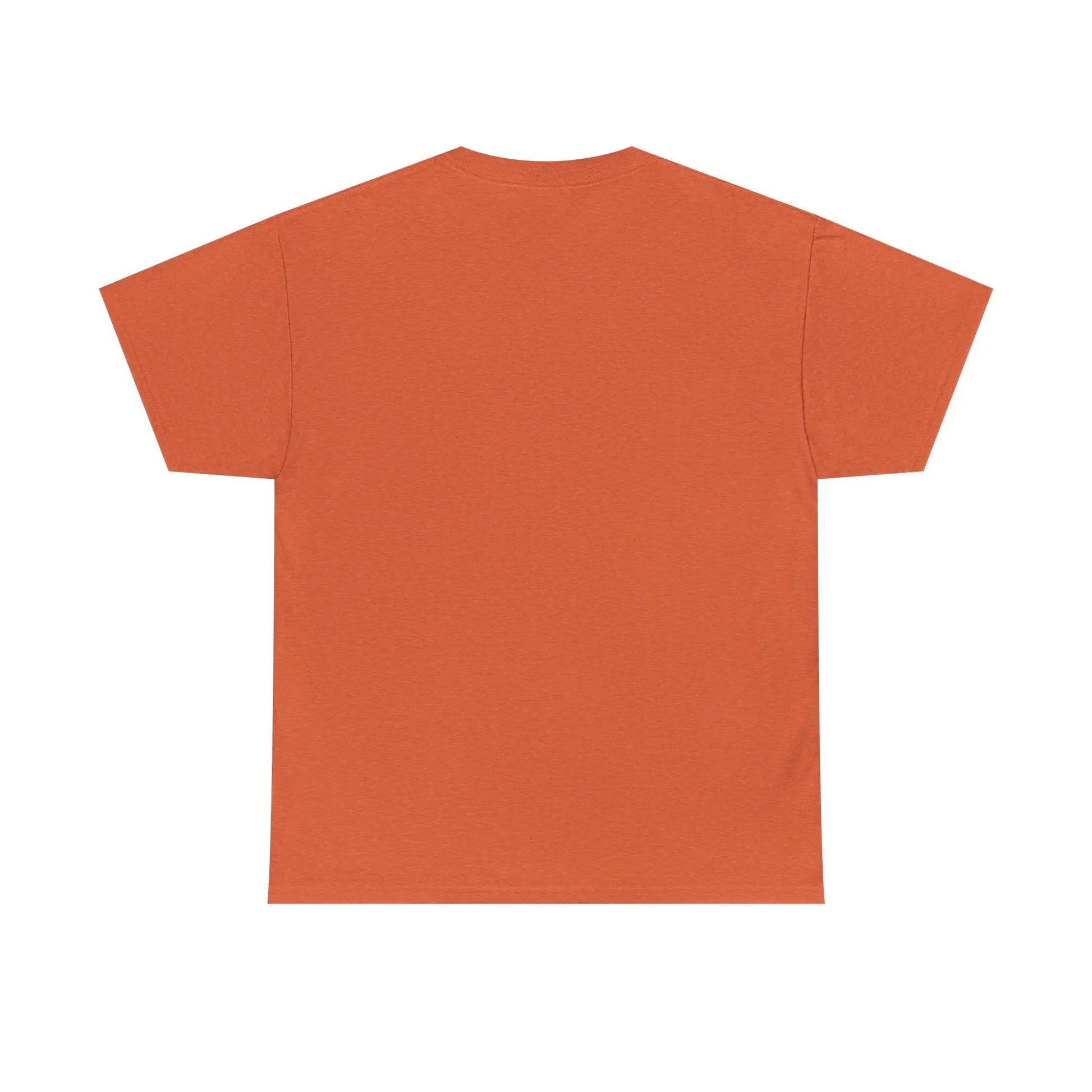 Dinosaur Cat Tee Printify