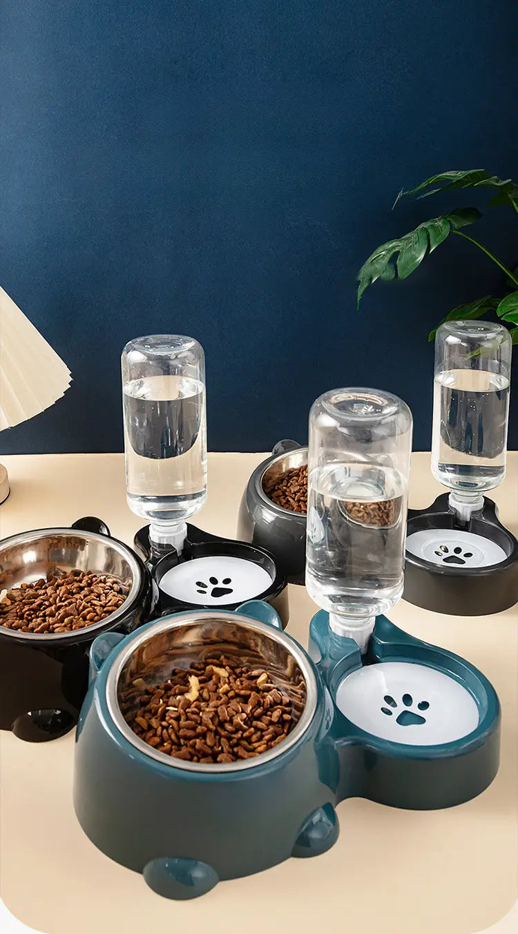 Cat Food And Water Bowl Set - 16 Degree Tilted Dog Dish With Water Dispenser Removable Pet Feeder Bowl Dog Drinking