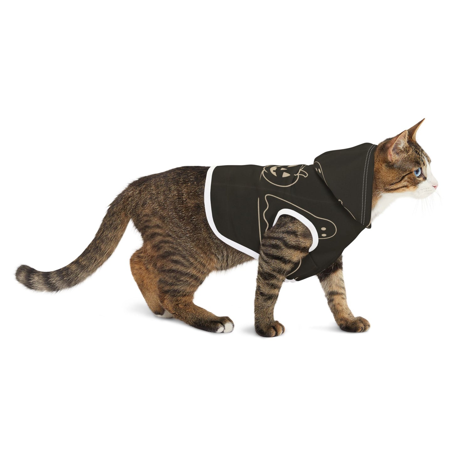 Halloween Pet Hoodie - FloofChonk