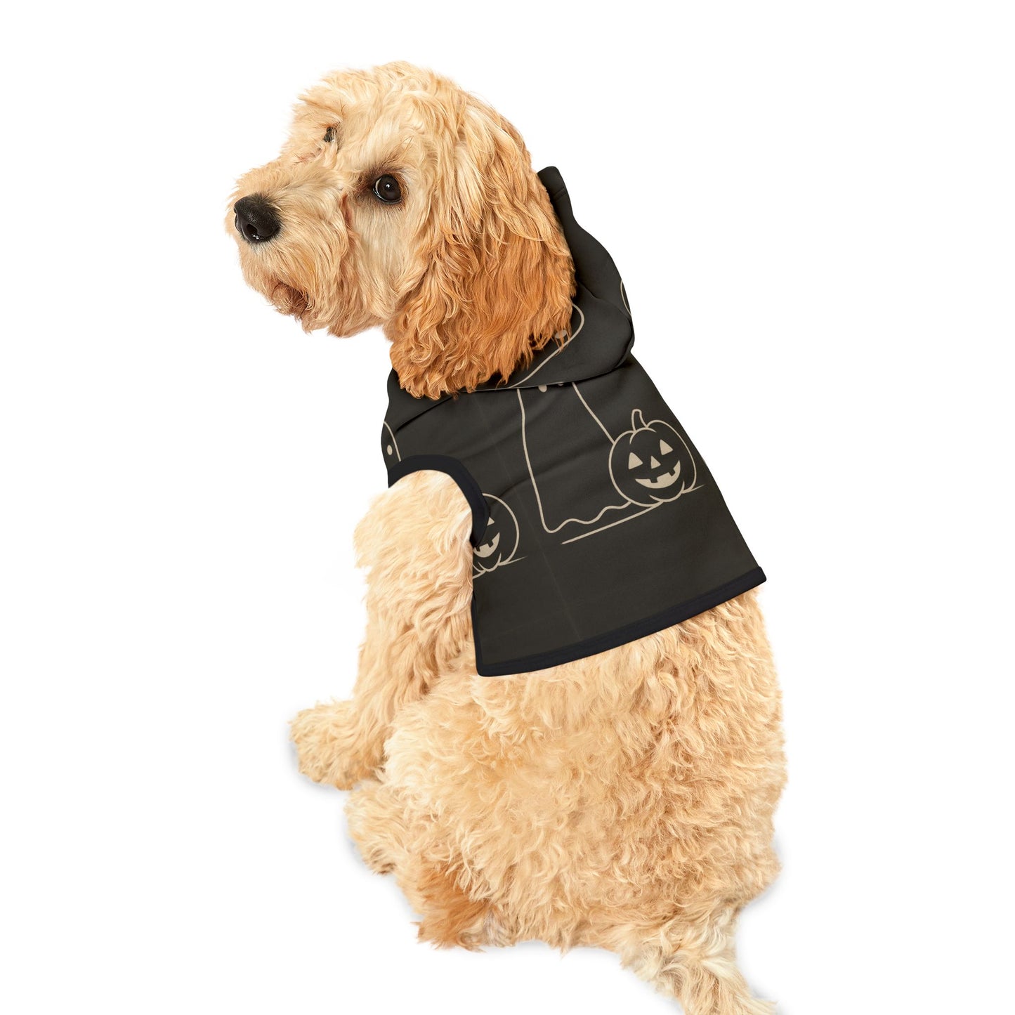 Halloween Pet Hoodie - FloofChonk