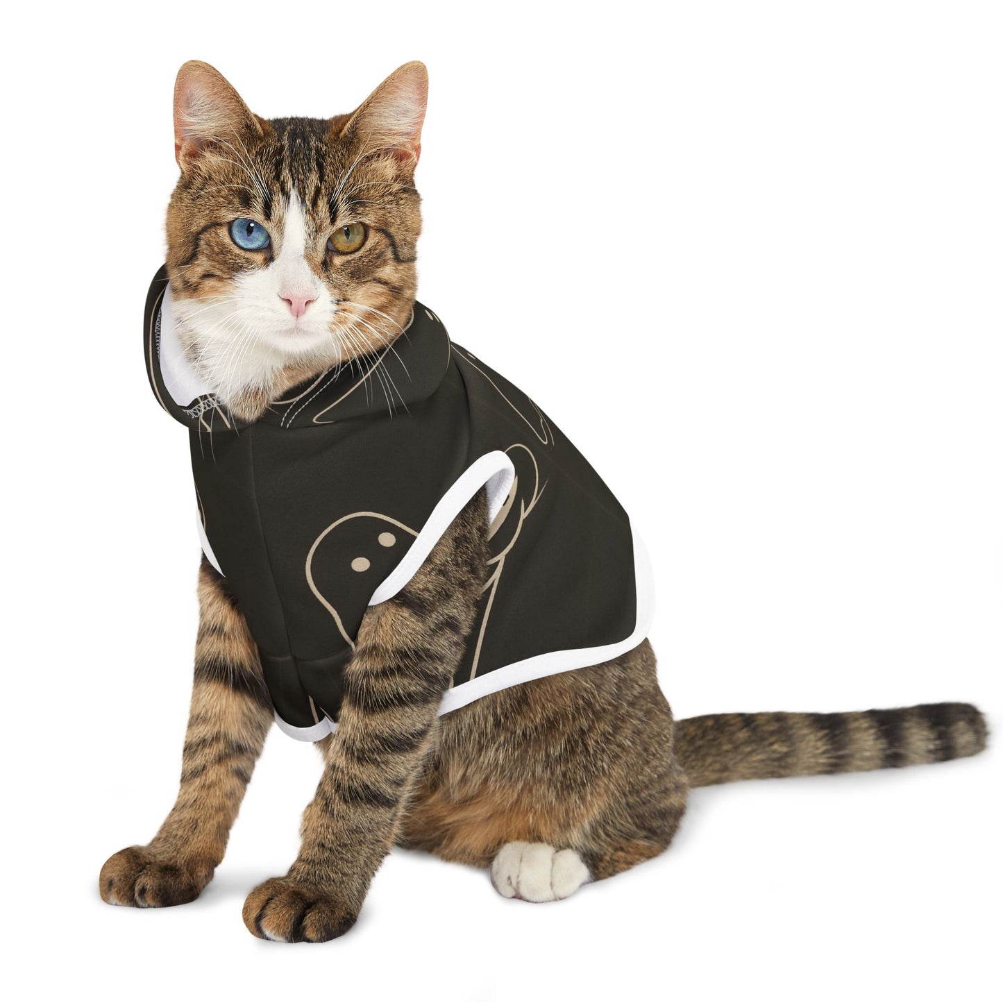 Halloween Pet Hoodie - FloofChonk