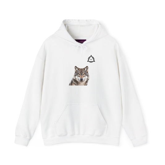 Wolf Graphic Unisex Hoodie - Cozy Sweatshirt for Nature Lovers, Wildlife Gift, Casual Wear, Outdoor Apparel, Birthday Present Printify