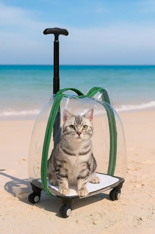 Cat Portable Trolley with Transparent Bubble Dropshipman