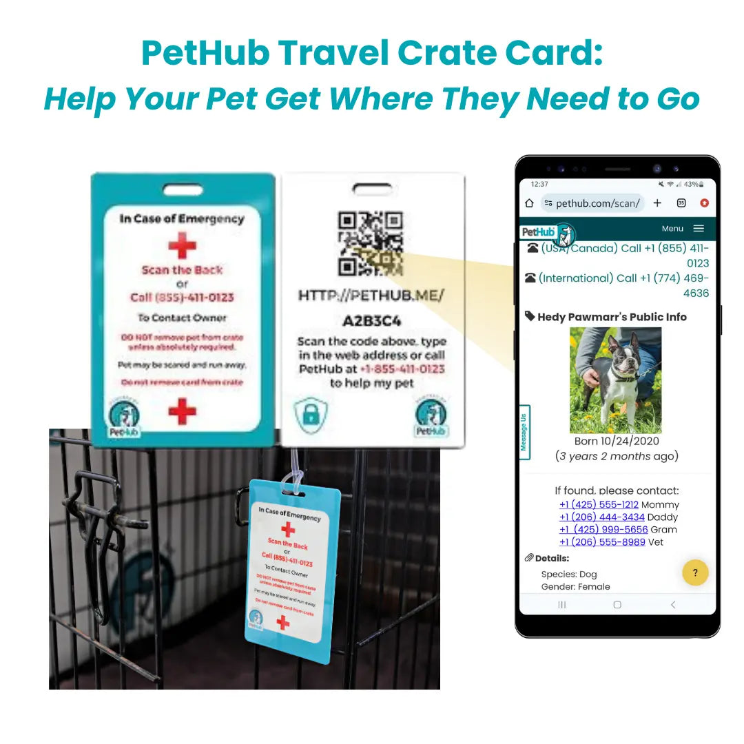 PetHub QR Pet ID Comprehensive ReadyKit – Complete Emergency Kit PetHub