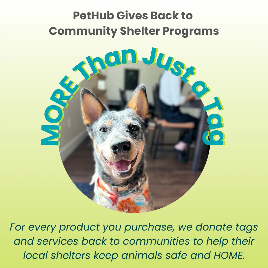 PetHub QR Pet ID Tag – Classic Aluminum PetHub